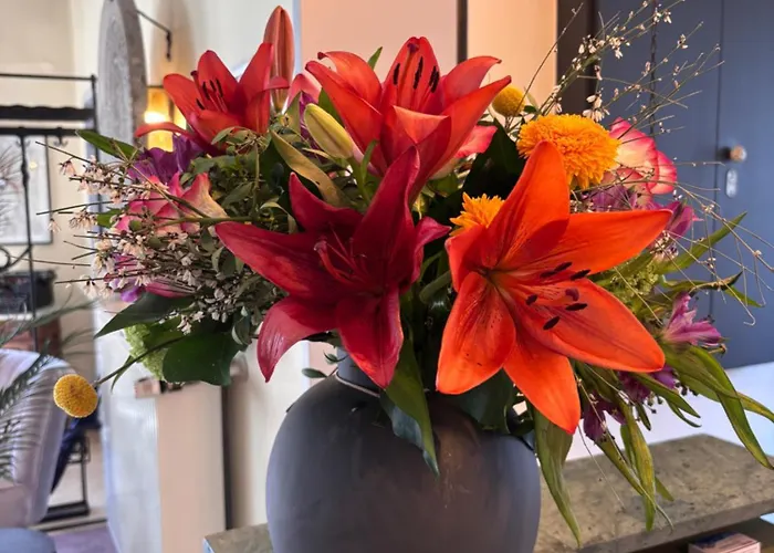 فندق Alte Post كريفيلد